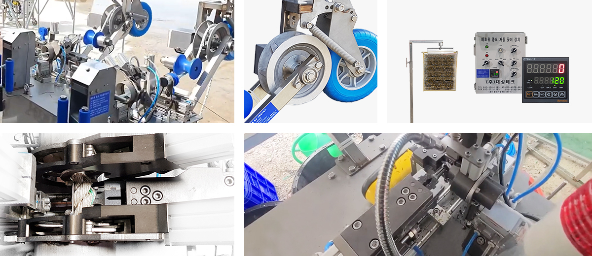 포자이양기(굵은줄꽂이기) 관련 사진