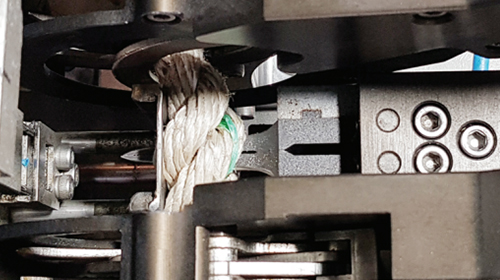 포자이양기(굵은줄꽂이기) 특징1