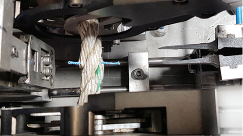 포자이양기(굵은줄꽂이기) 특징2