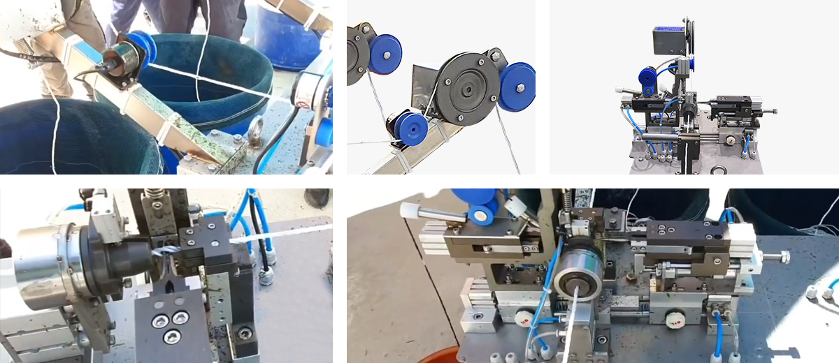 포자이양기(가는줄꽂이기) 관련 사진