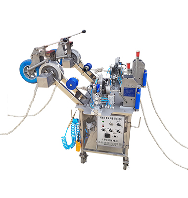 포자이양기(굵은줄꽂이기)