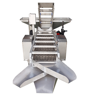 가리비진동 선별기